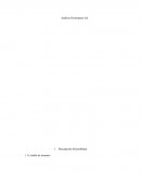 Análisis Proinsumos S.A