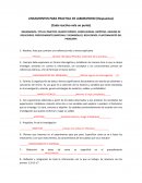 Lineamientos para practica de laboratorio (Respuestas)