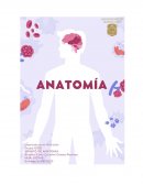 Empecemos preguntándonos ¿Que es la anatomía?