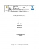 Generalidades del servicio,tipos de clientes y taller