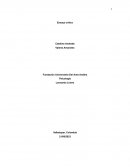 Ensayo critico. Película El Hoyo