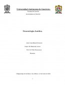 Deontología Jurídica