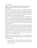 Manual de cálculo
