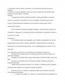 Vehículo para el transporte de materiales peligrosos (MATPEL)