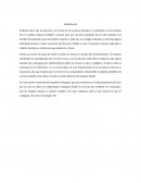 ¿El caso del Circo del Sol puede ser considerado como un proyecto, un programa o un portafolio?