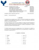 Informe: granulometría para mac-1