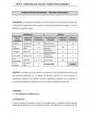 Trabajo práctico integrador – “Empresa metalúrgica”