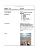 Ficha técnica de los cocteles