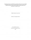 Estrategias para lograr la sostenibilidad en las principales tiendas de barrios