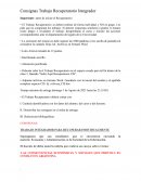 Consignas Trabajo Recuperatorio Integrador