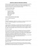 Informe del trabajo de competencia lingüística