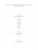 El papel de la gestión de recursos y el desarrollo sostenible en las empresas colombianas