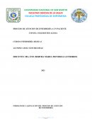 Formato de calificacion del proceso de atencion de enfermería