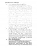 El desarrollo internacional privado en el Perú