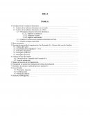 Análisis de la industria alimentaria en el mundo