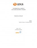 Estudio del caso Microsoft