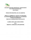 Práctica: Elaboración de pan de elote