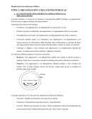 Planificación de las Relaciones Públicas