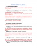 Temario derecho laboral