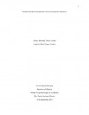 Ensayo epistemología de la didáctica