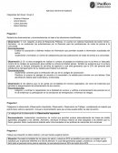 Ejercicio Informe de Auditoría