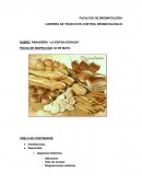 Rubro: panadería “La espiga dorada”