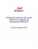Síntesis de evidencia del uso de Sistema de imágenes de fluoresceína PINPOINT