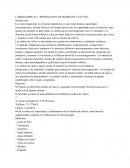 Preparación de medios de cultuvo