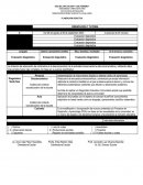 Proceso de desarrollo para el aprendizaje (plan sintético)