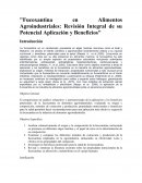 Fucoxantina en Alimentos Agroindustriales: Revisión Integral de su Potencial Aplicación y Beneficios