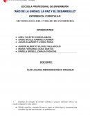 Metodología del cuidado de enfermería