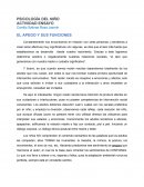 El apego y sus funciones