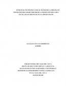 Estrategia tecnológica para el manejo de la dislexia en estudiantes del grado tercero