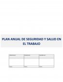 Plan anual SST