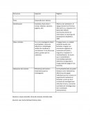 Desarrollo de la infancia