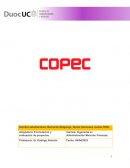Formulación y evaluación de proyectos. Empresa Copec S.A