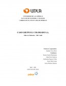 Caso Grupo El Colorado S.A