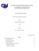 Informe psicológico del adulto