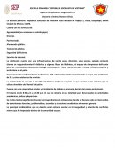 Reporte de aplicación diagnostica 4°B