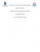 Importancia de los números reales en problemas de aplicación