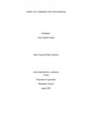 Bioquímica de las Macromoléculas