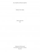 Equilibrio de Mercado competitivo