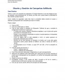 Diseño y gestion de campaña AdWords