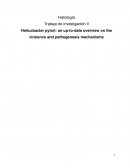 Helicobacter pylori: an up-to-date overview on the virulence and pathogenesis mechanisms