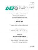 Plásticos y materias primas s.a. (pYmpsa)