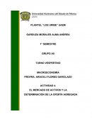 El mercado de activos y la determinación de la oferta agregada