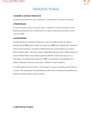 Plan organizacional empresarial, para el desarrollo de la empresa Splana de la provincia de Huancayo