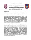 Práctica No 1 Determinación de aminoácidos terminales con grupo alfa amino libre