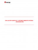 Informe ambiente interno organización