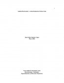 Análisis Horizontal y vertical Industrias Falcon Ltda